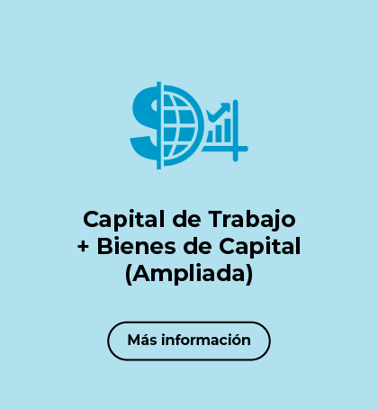 Línea 4