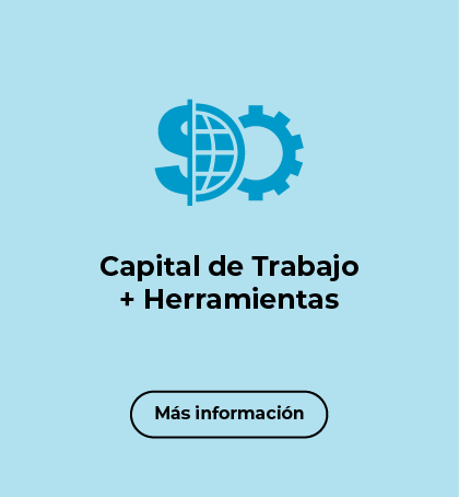 Línea 2